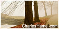 Charles Hamel.com